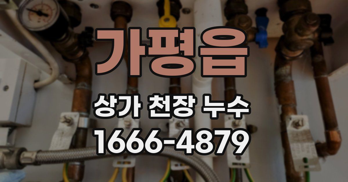 가평읍 상가 천장 누수