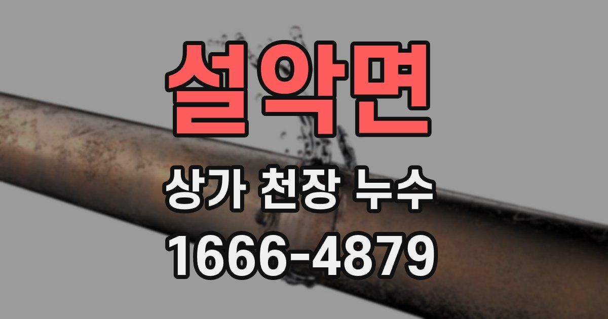 설악면 상가 천장 누수