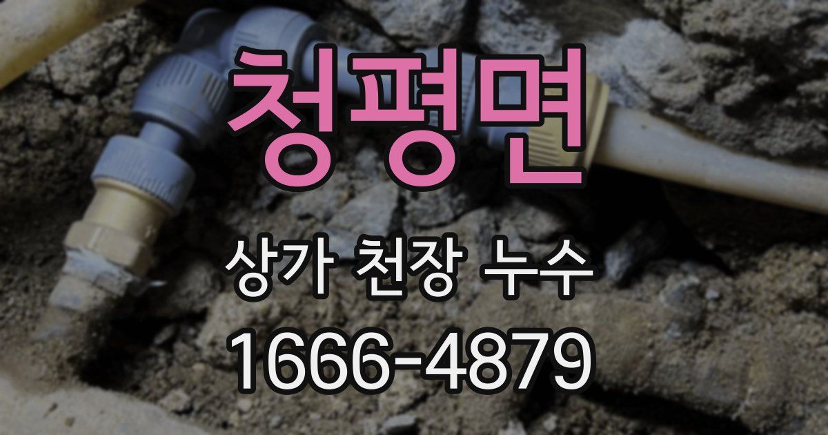 청평면 상가 천장 누수