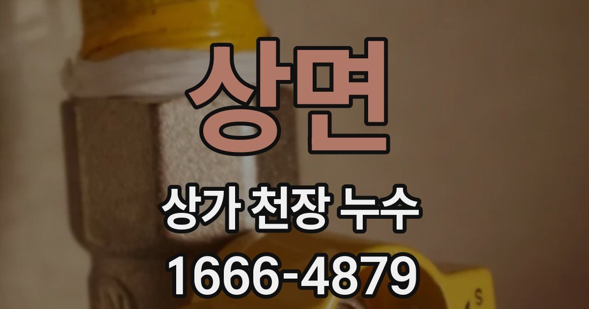 상면 상가 천장 누수