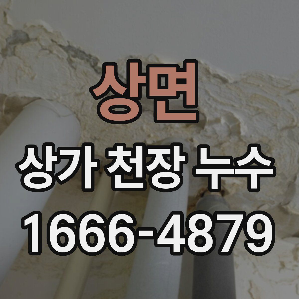 상면 상가 천장 누수