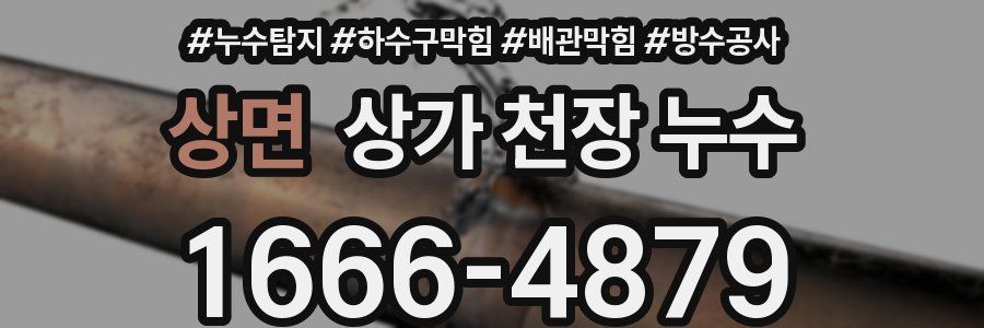 상면 상가 천장 누수