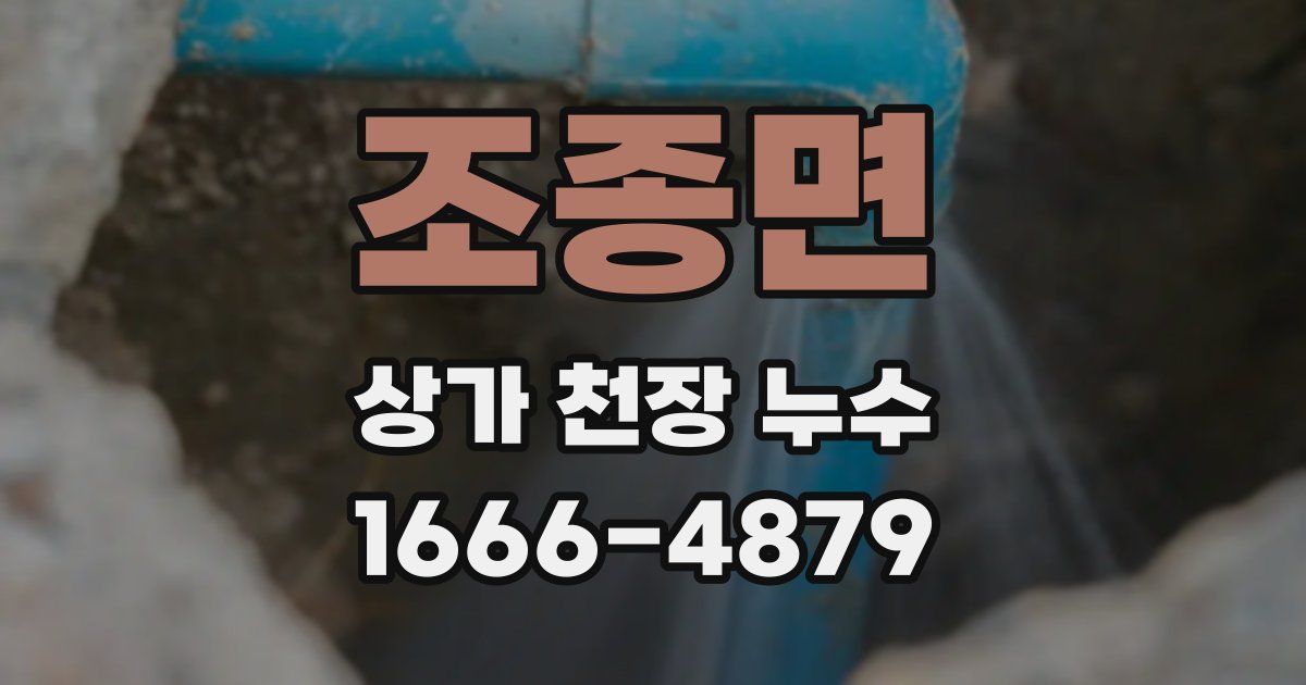 조종면 상가 천장 누수