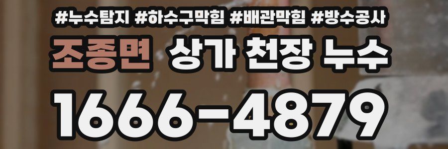 조종면 상가 천장 누수