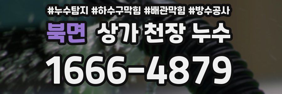 북면 상가 천장 누수