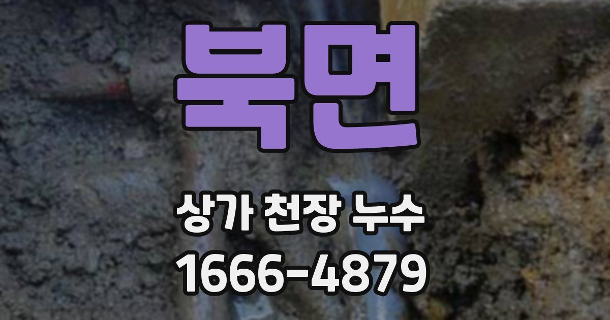북면 상가 천장 누수