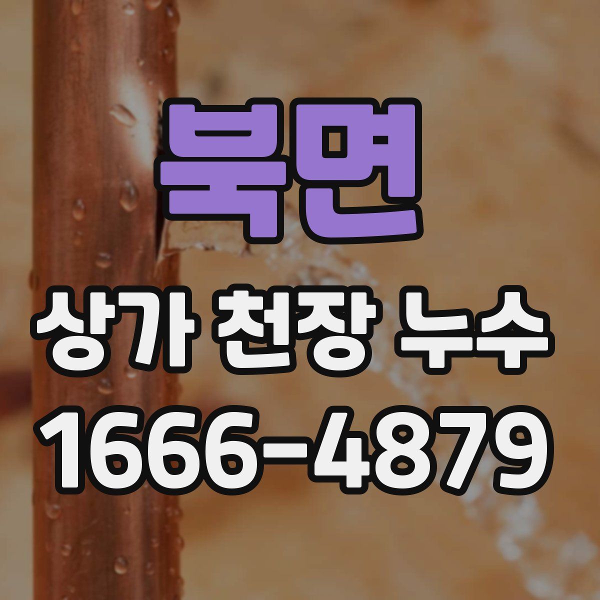 북면 상가 천장 누수