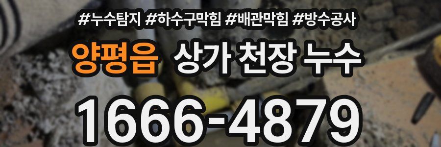 양평읍 상가 천장 누수