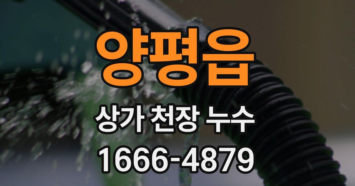 양평읍 상가 천장 누수