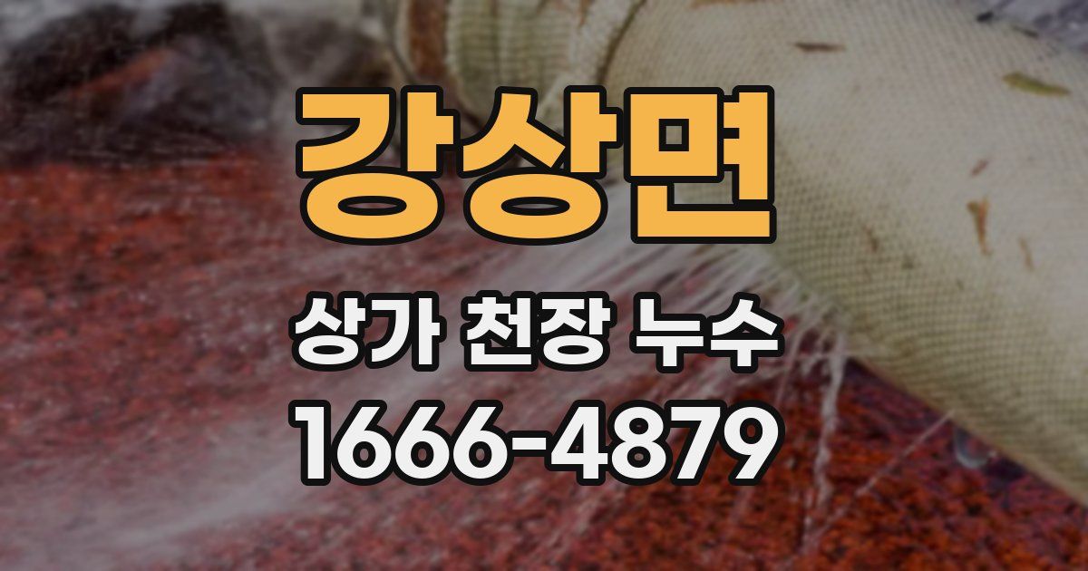 강상면 상가 천장 누수