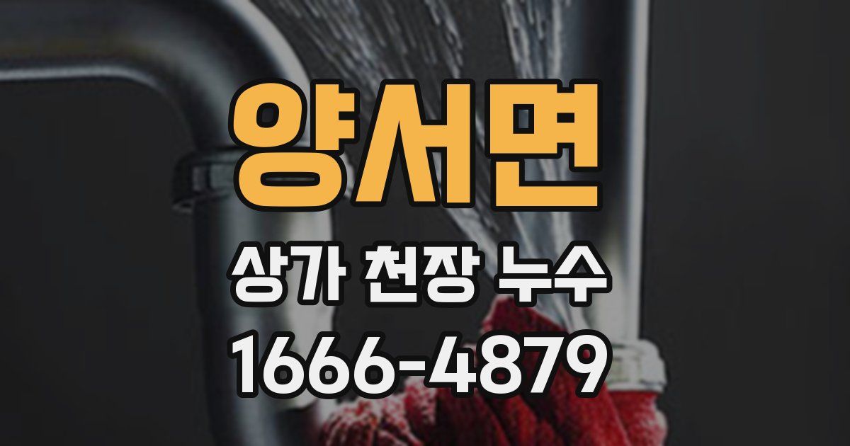 양서면 상가 천장 누수