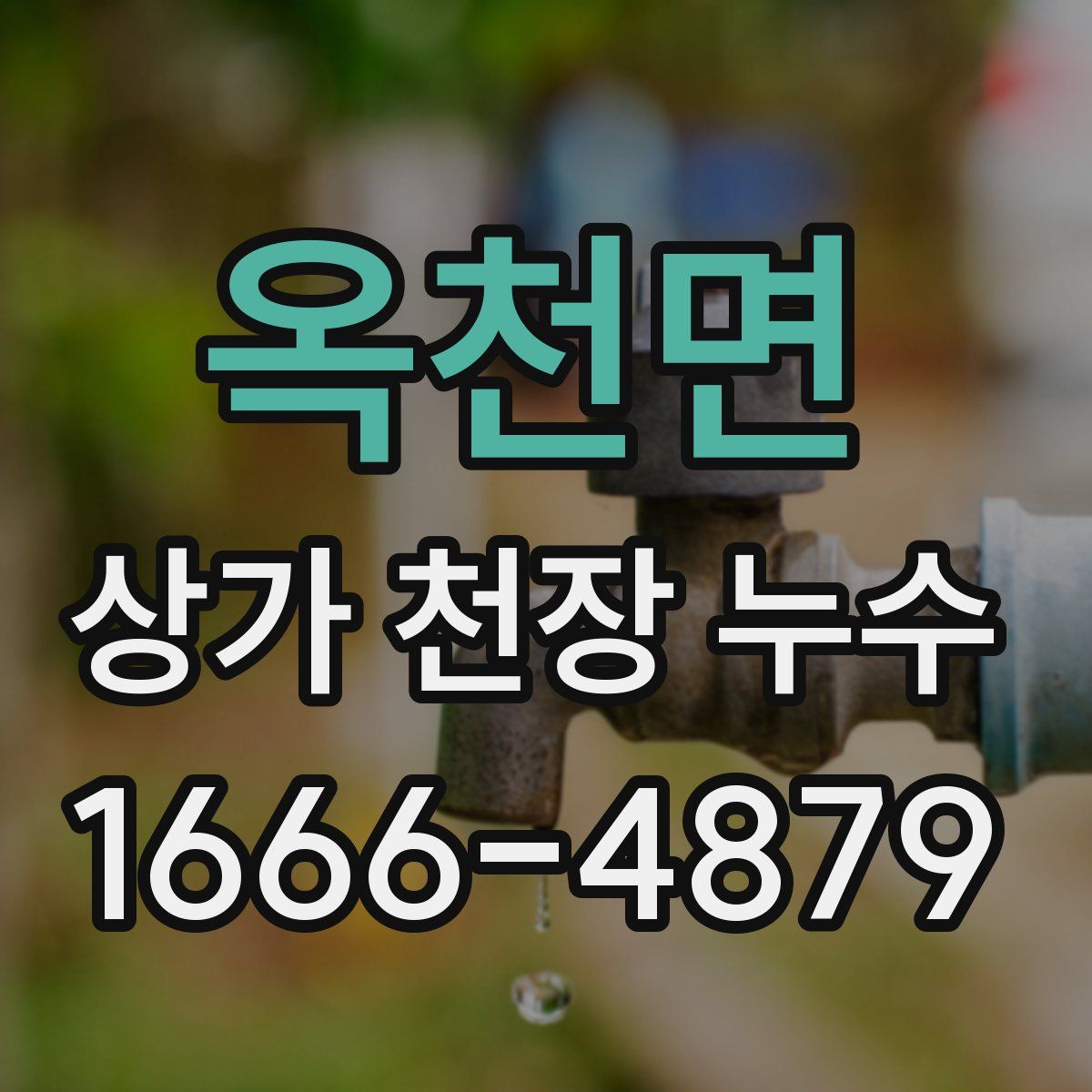 옥천면 상가 천장 누수