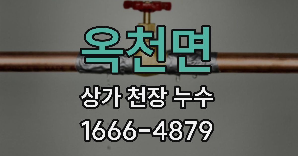 옥천면 상가 천장 누수