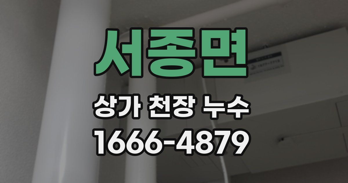 서종면 상가 천장 누수