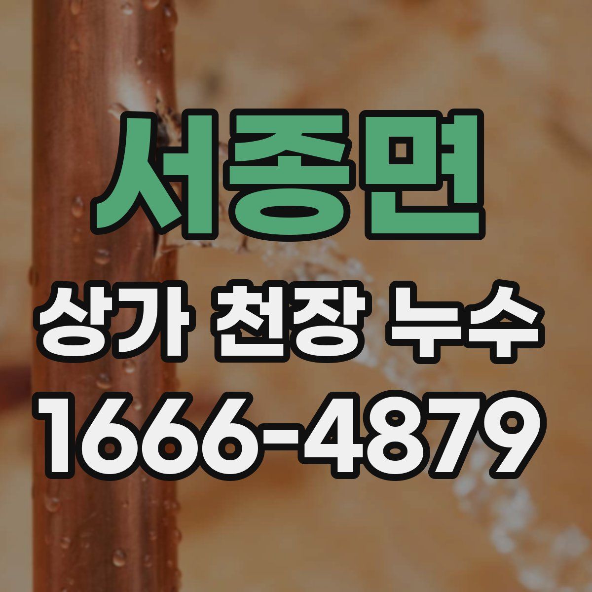 서종면 상가 천장 누수