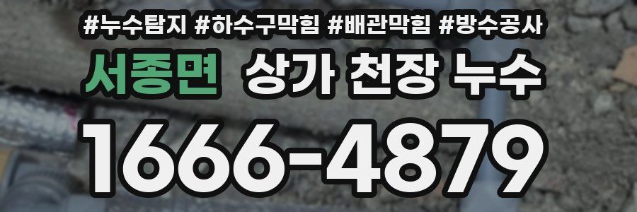 서종면 상가 천장 누수