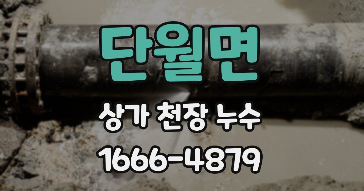 단월면 상가 천장 누수