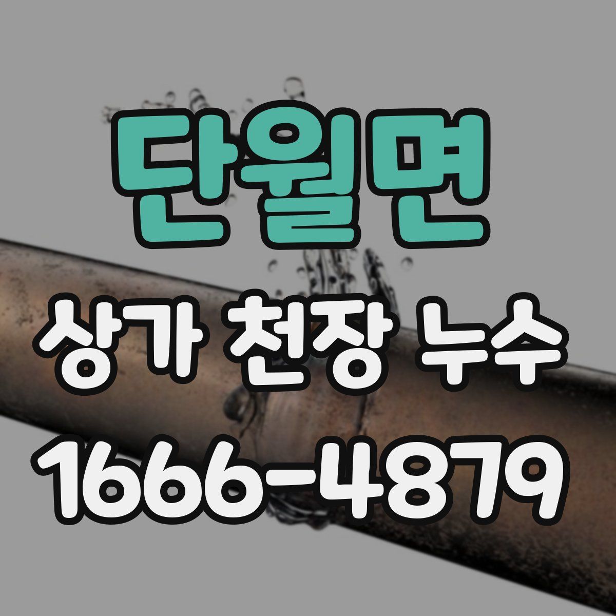단월면 상가 천장 누수