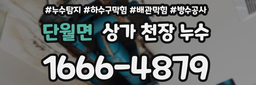 단월면 상가 천장 누수