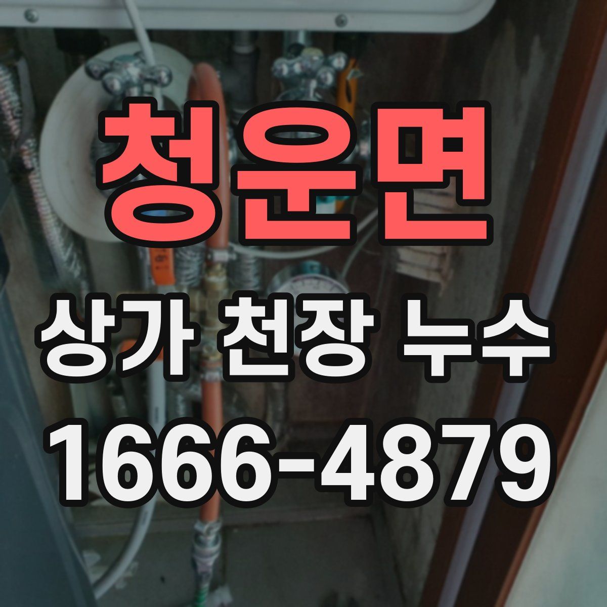 청운면 상가 천장 누수