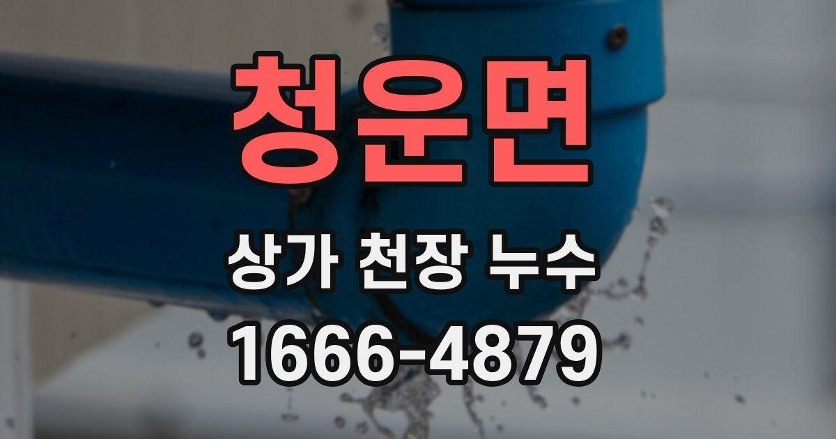 청운면 상가 천장 누수