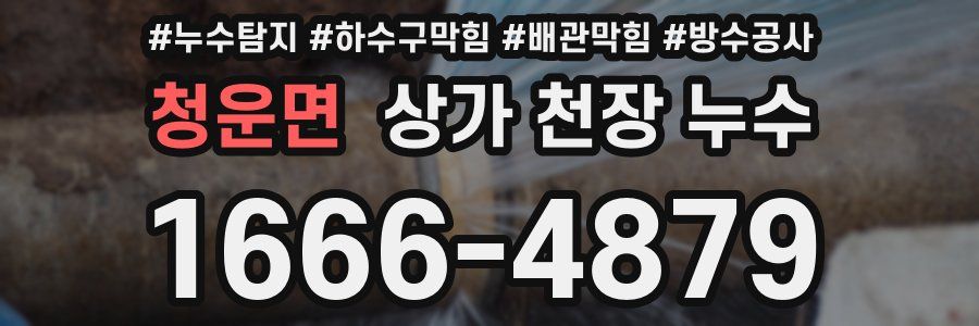 청운면 상가 천장 누수