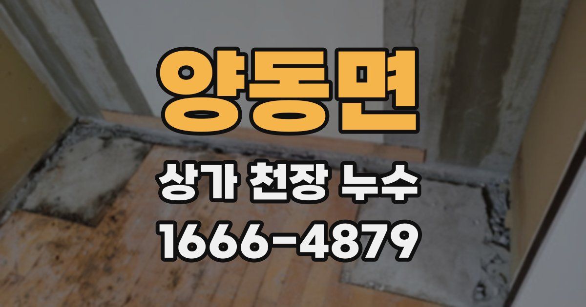 양동면 상가 천장 누수