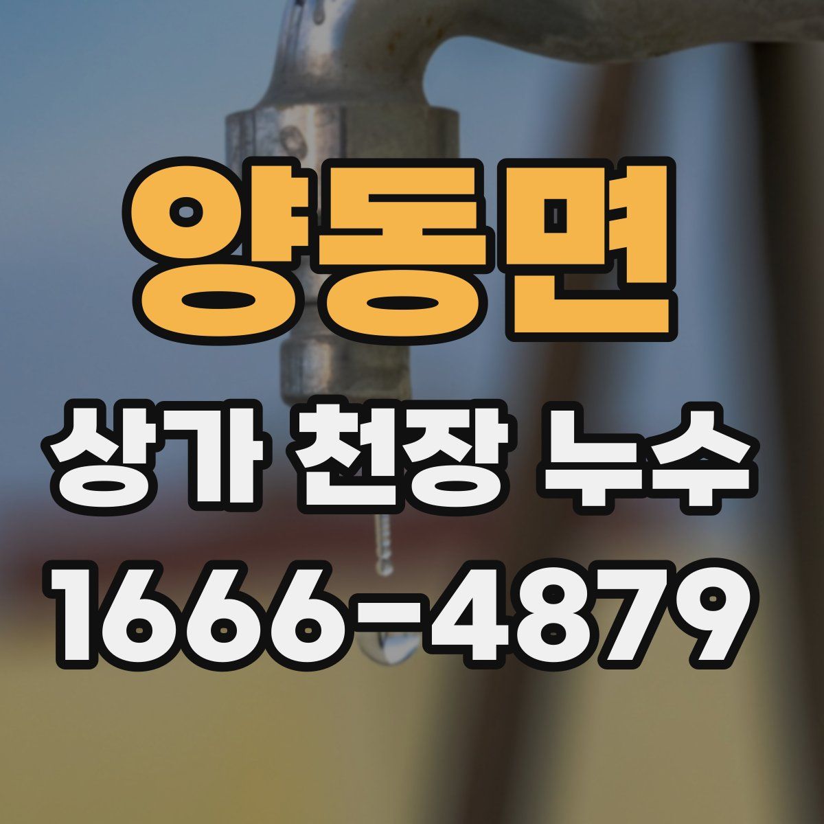 양동면 상가 천장 누수