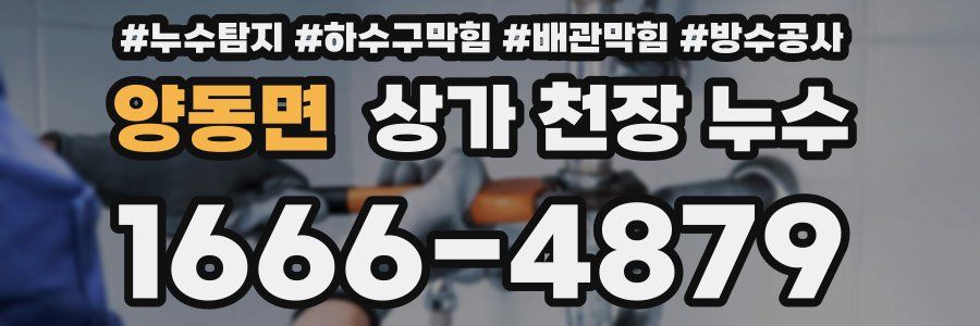 양동면 상가 천장 누수