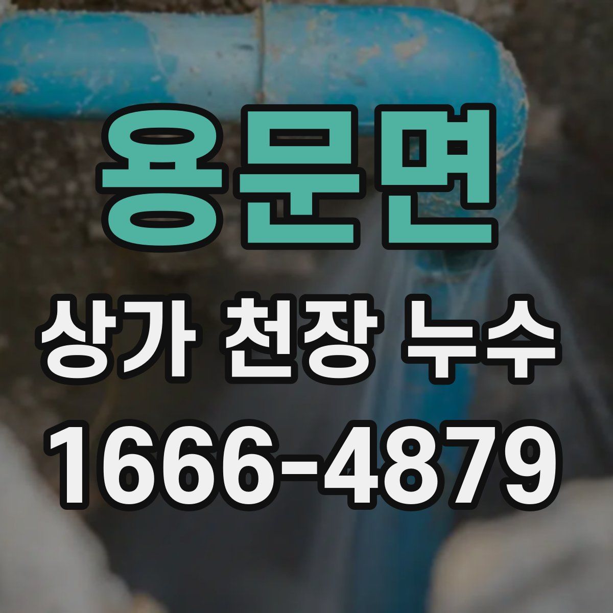 용문면 상가 천장 누수
