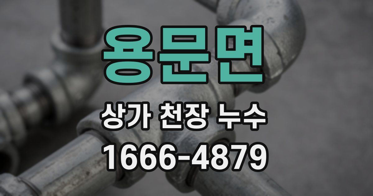 용문면 상가 천장 누수