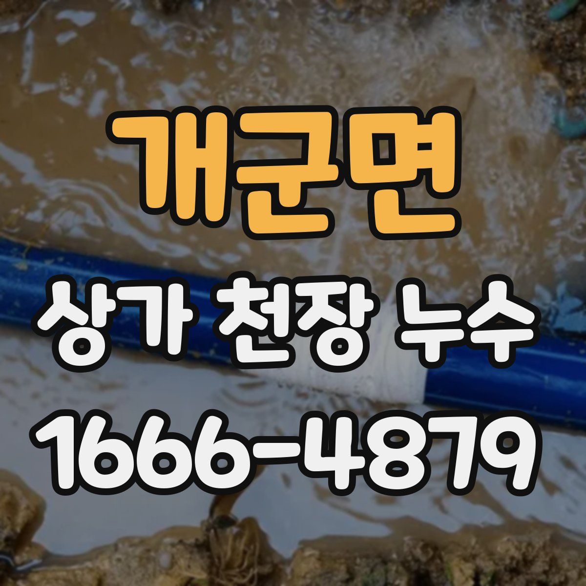 개군면 상가 천장 누수