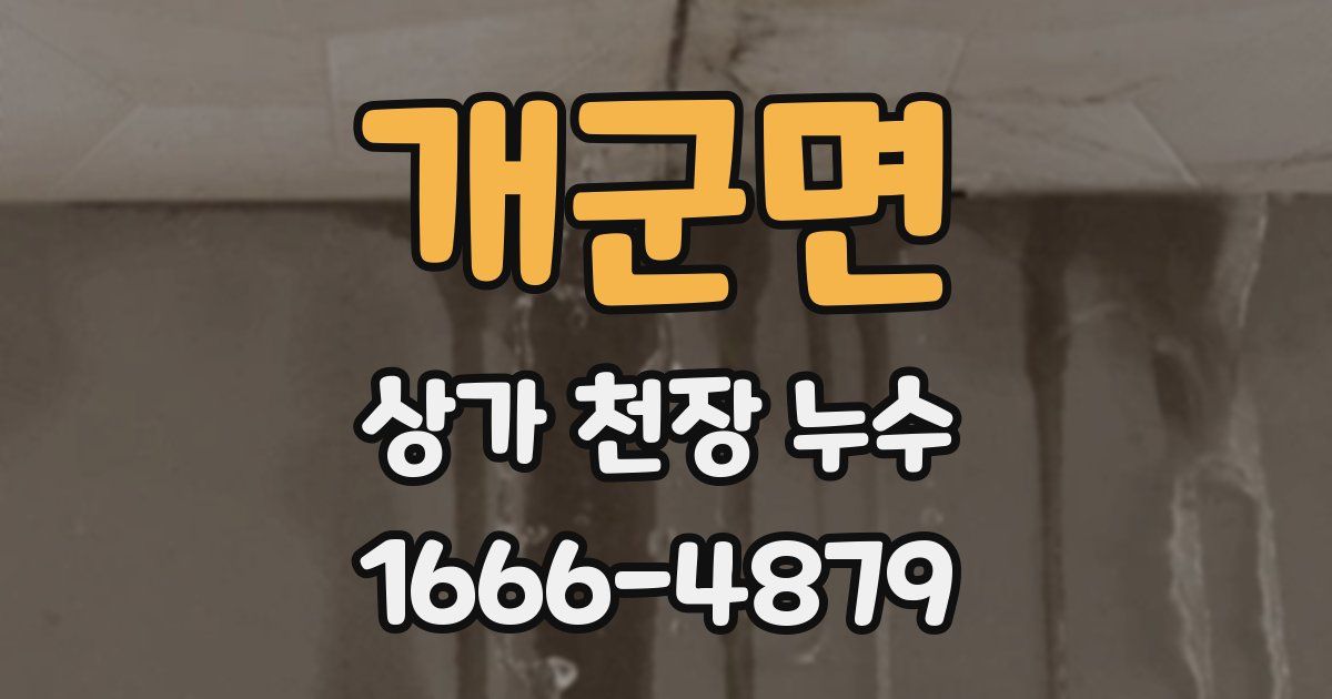 개군면 상가 천장 누수