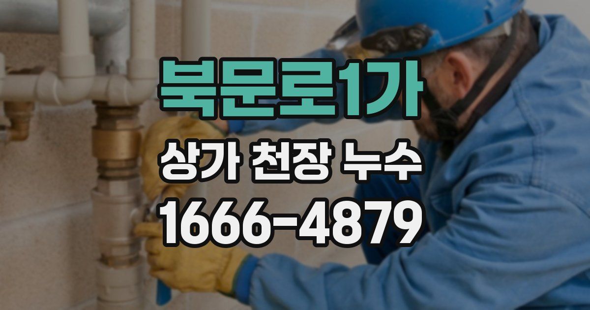 북문로1가 상가 천장 누수