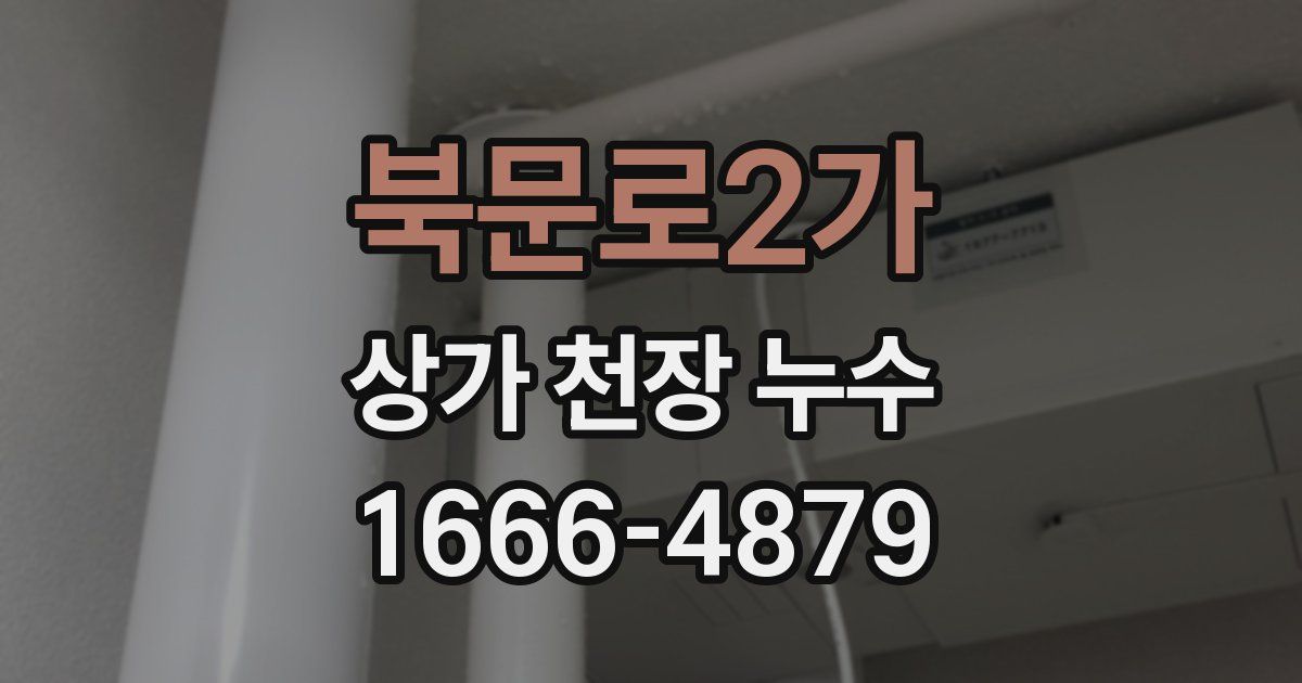 북문로2가 상가 천장 누수