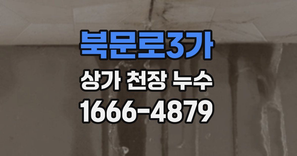 북문로3가 상가 천장 누수
