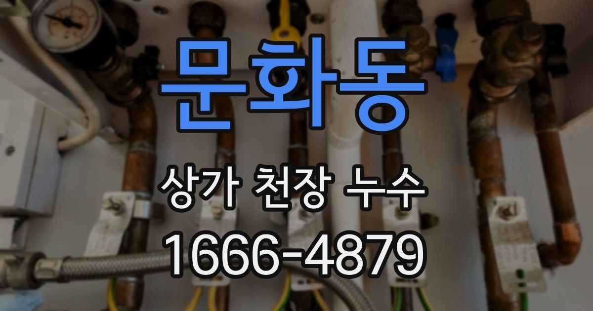 문화동 상가 천장 누수