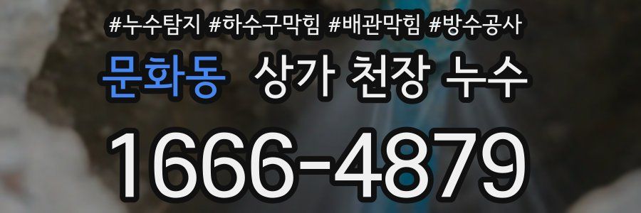문화동 상가 천장 누수