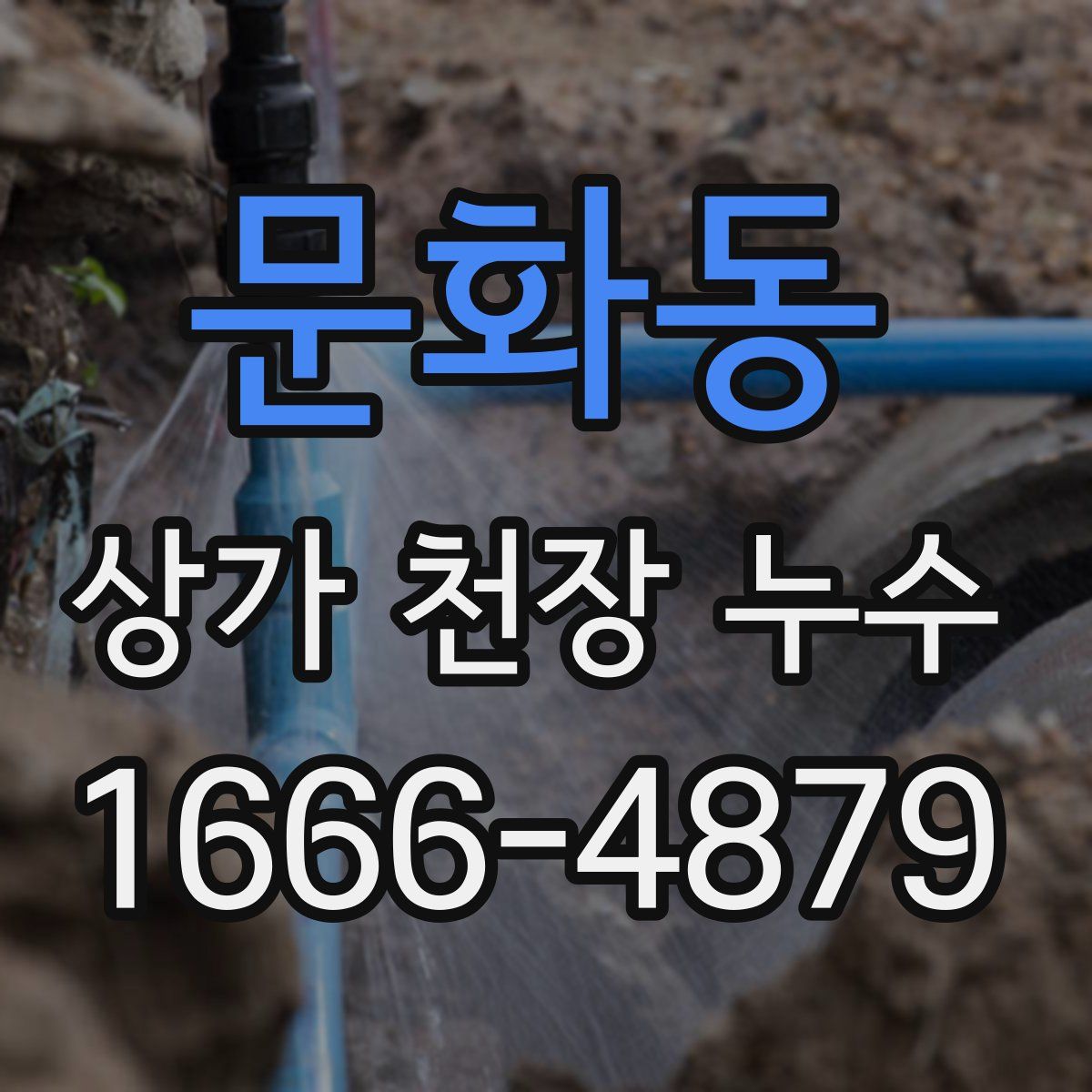 문화동 상가 천장 누수