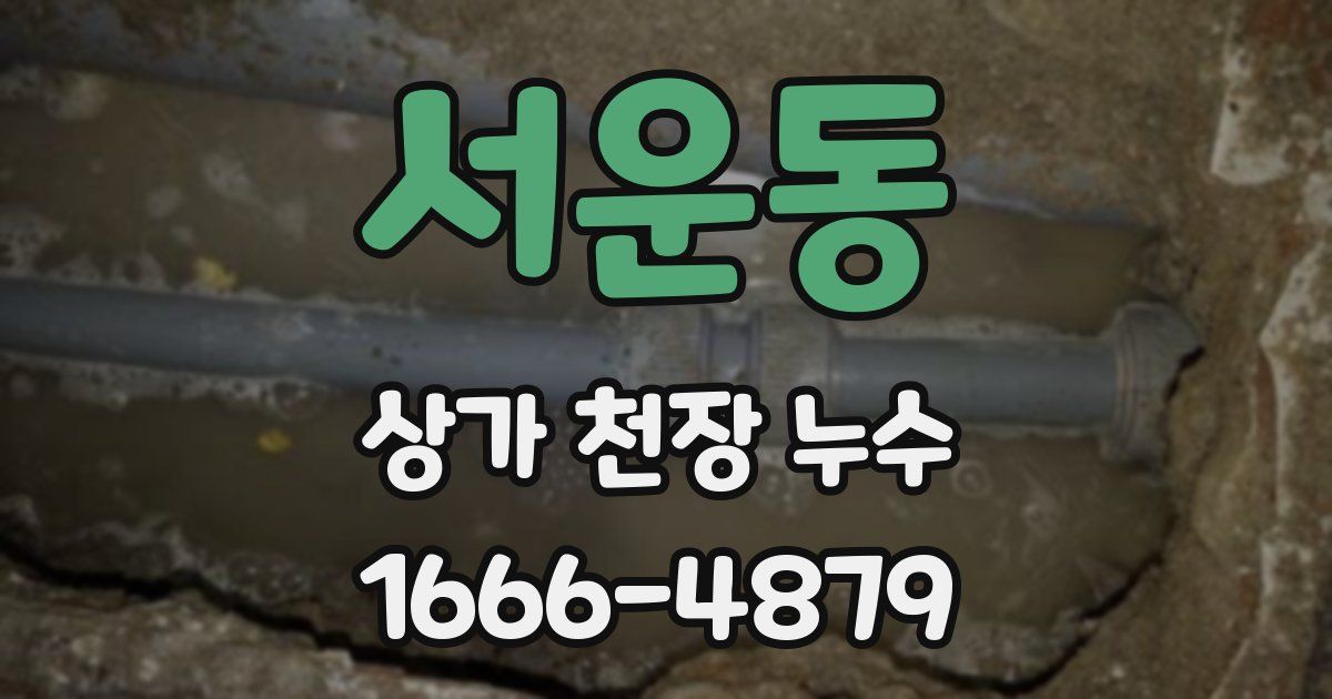 서운동 상가 천장 누수