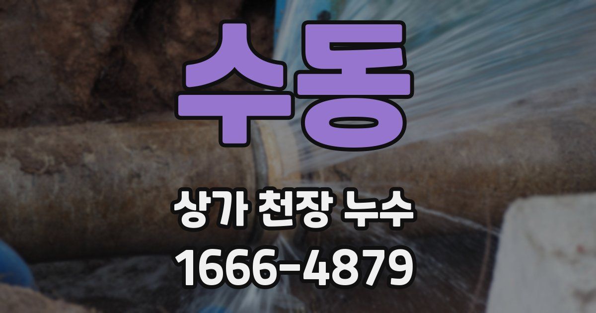 수동 상가 천장 누수