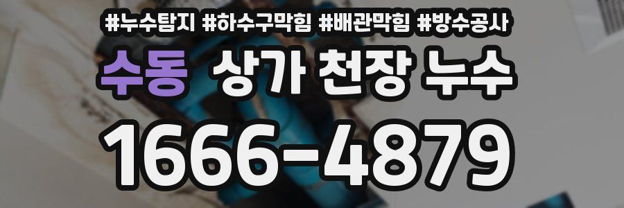 수동 상가 천장 누수