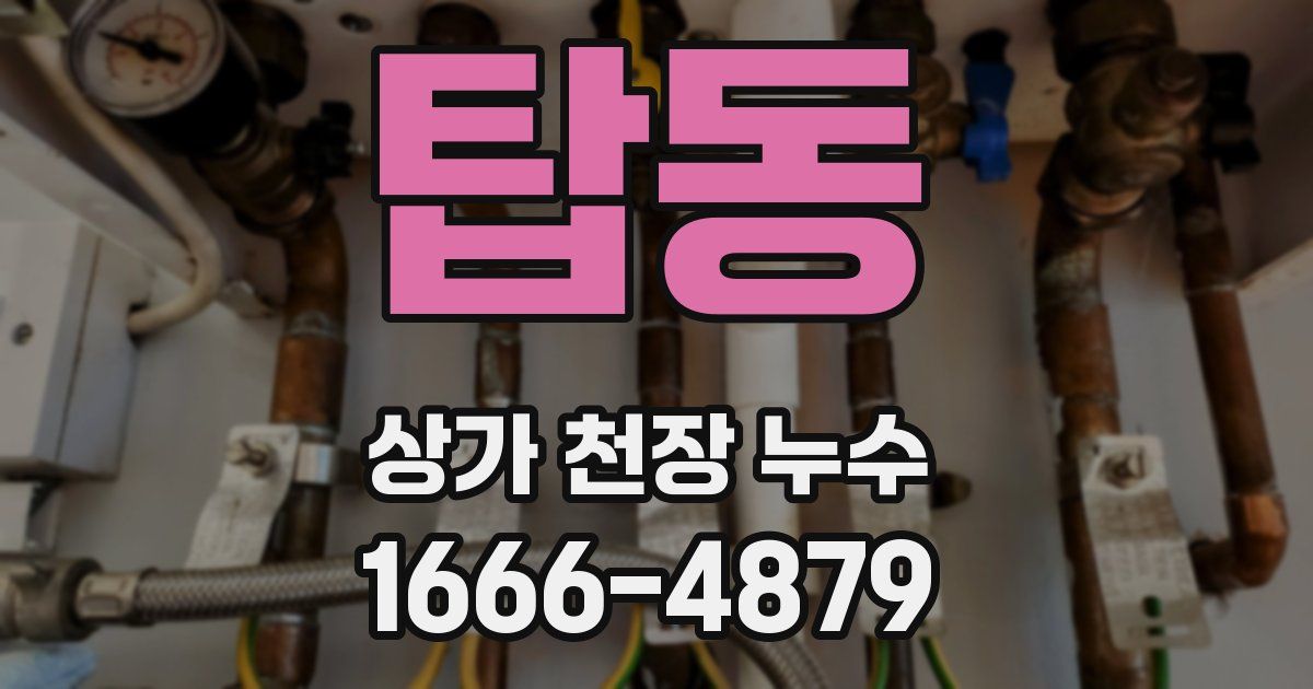 탑동 상가 천장 누수