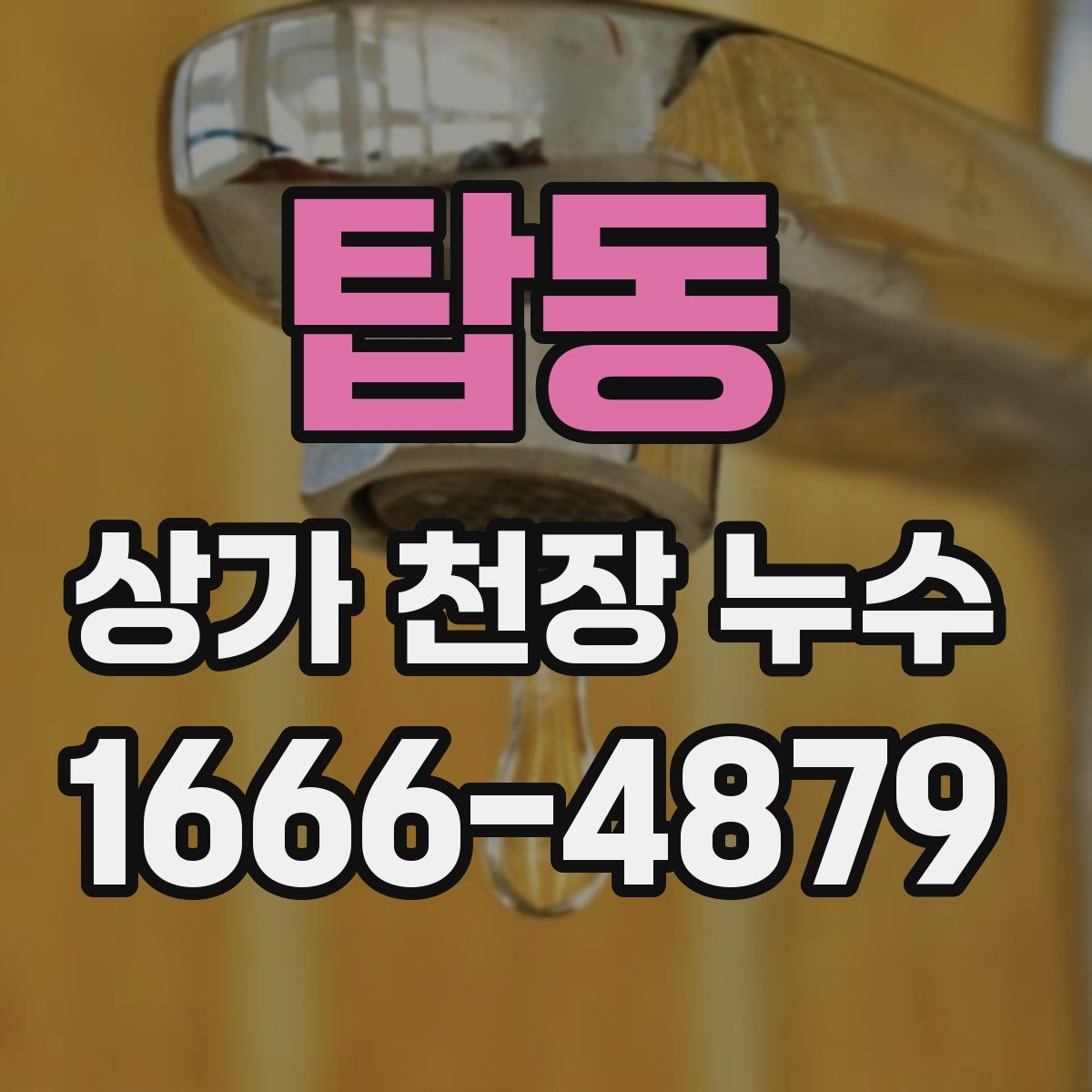 탑동 상가 천장 누수