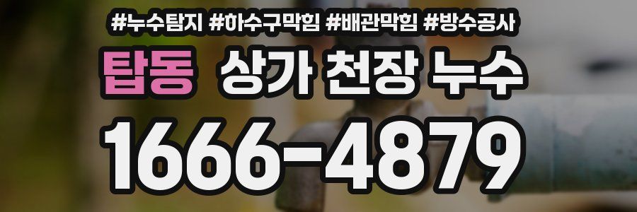 탑동 상가 천장 누수