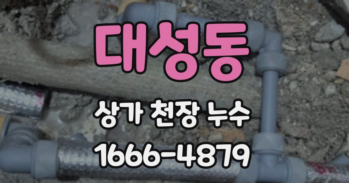 대성동 상가 천장 누수