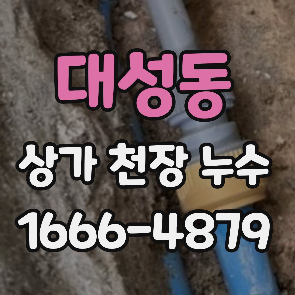 대성동 상가 천장 누수