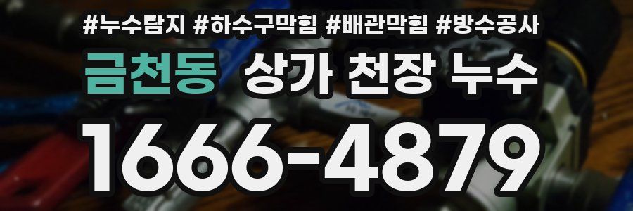 금천동 상가 천장 누수