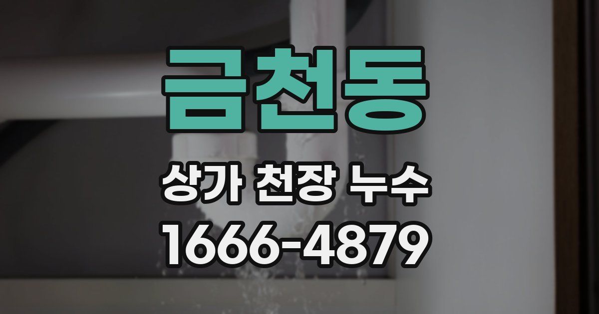 금천동 상가 천장 누수