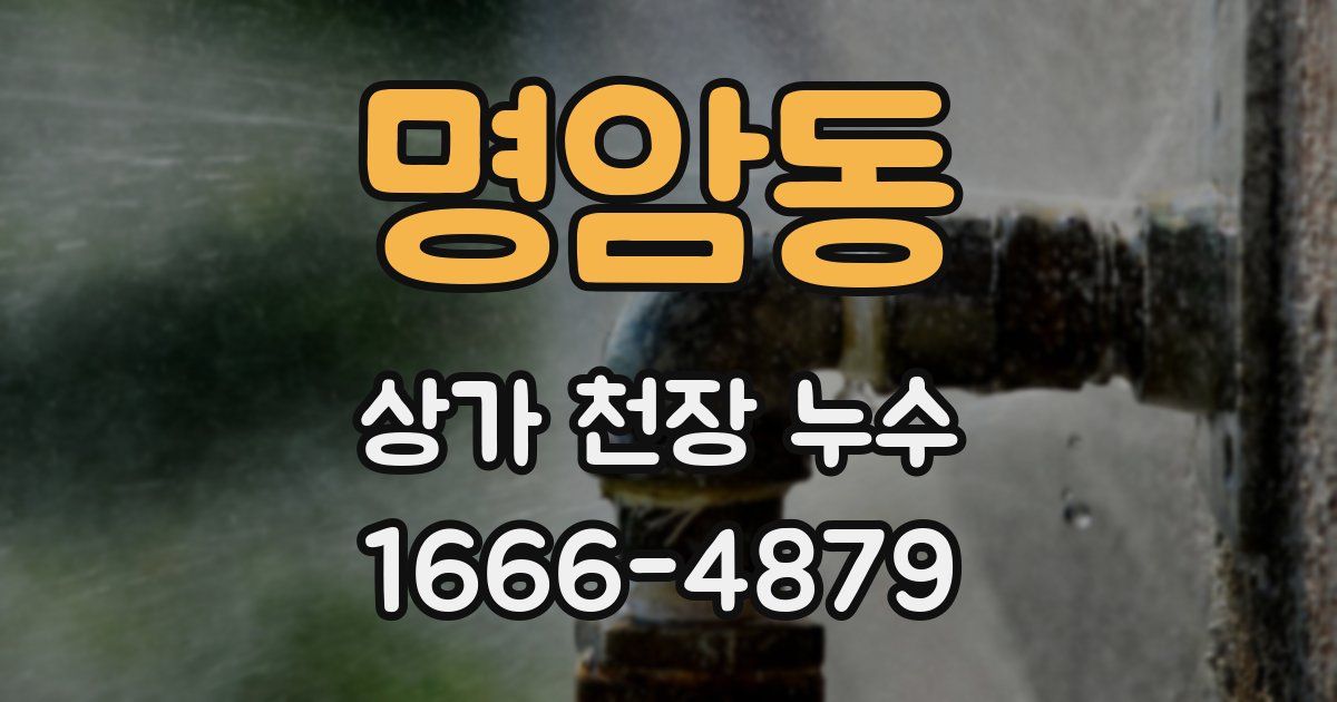 명암동 상가 천장 누수